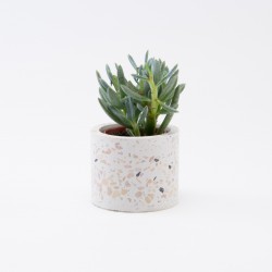 Terrazzo petit pot de...