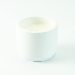 Petit pot de fleurs avec...