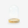 Glazen globe met houten voetstuk 15cm