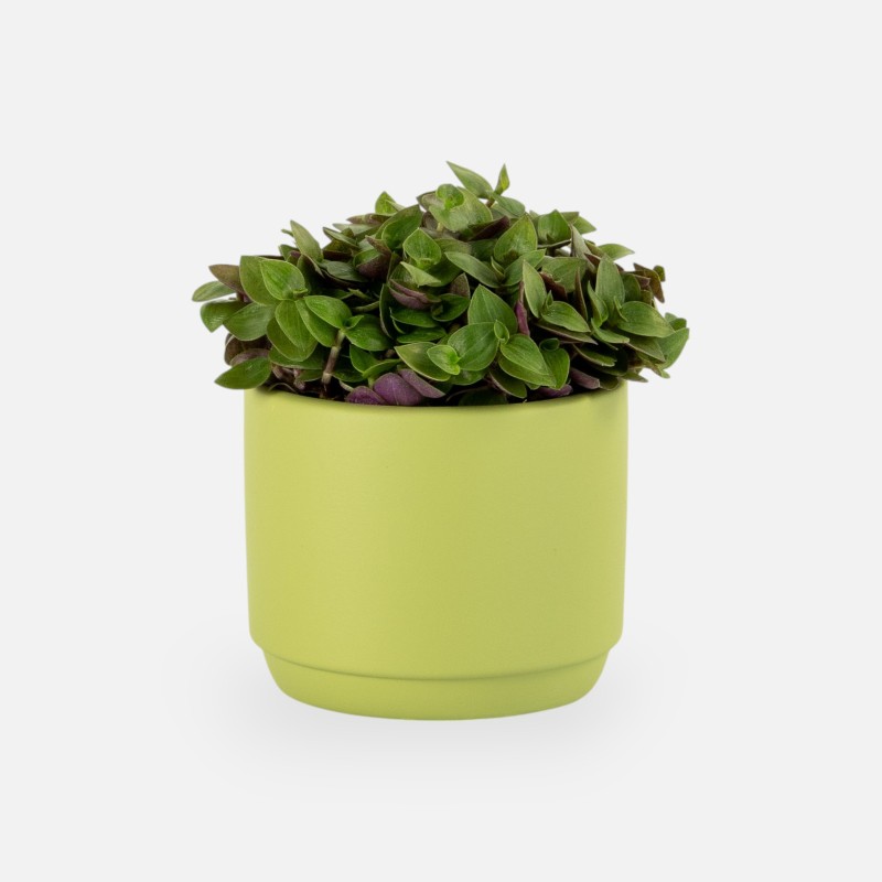 Bloempotje keramiek zijdegroen
