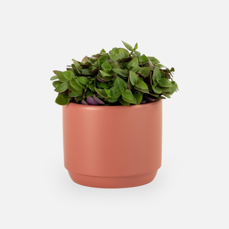 Bloempotje keramiek terracotta