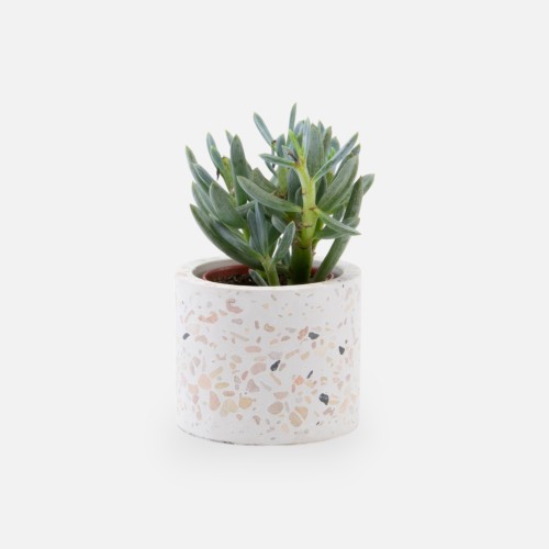 Terrazzo bloempotje - wit