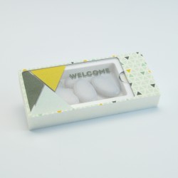 doosje acryl rechthoek cactus