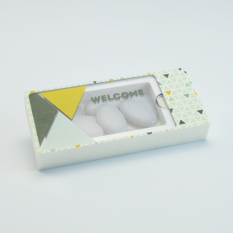 doosje acryl rechthoek cactus