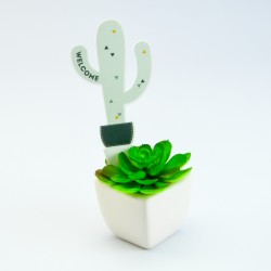 plantenbordje cactus