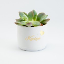 Bloempotje keramiek wit