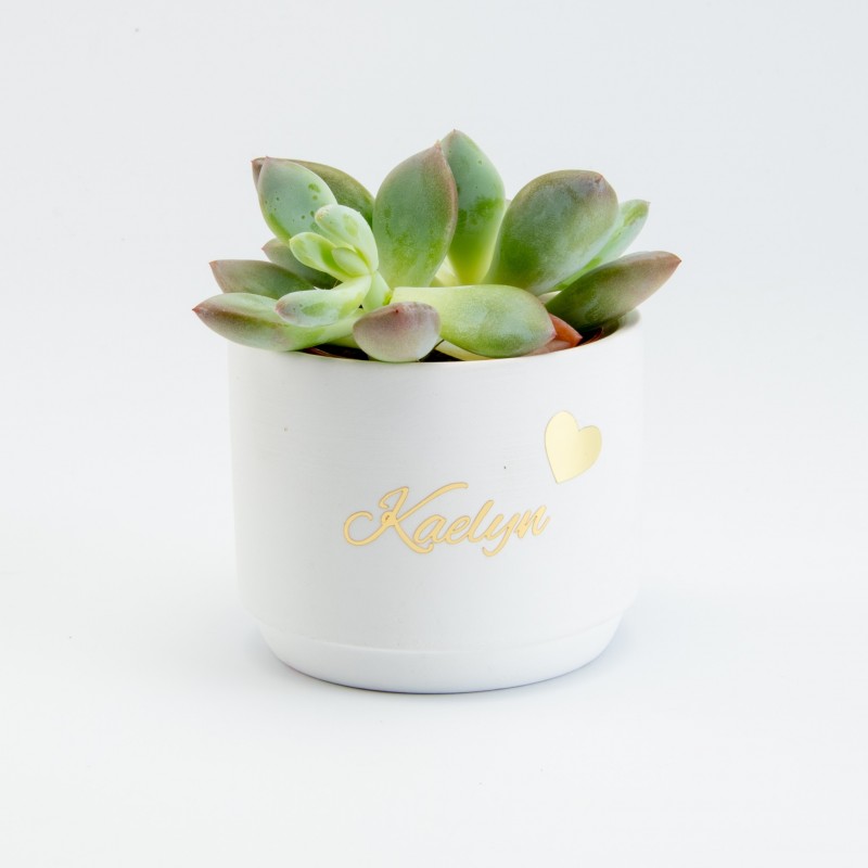 Bloempotje keramiek wit