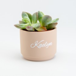 Bloempotje keramiek blush