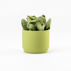 Bloempotje keramiek zijdegroen