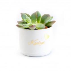 Bloempotje keramiek wit