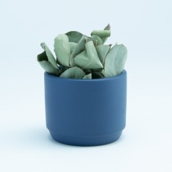 Bloempotje marineblauw